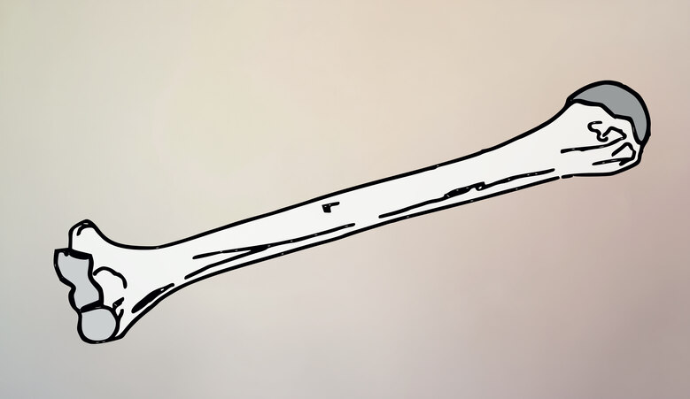 Zeichnung eines großen Knochens vor dezent farbigem Hintergrund