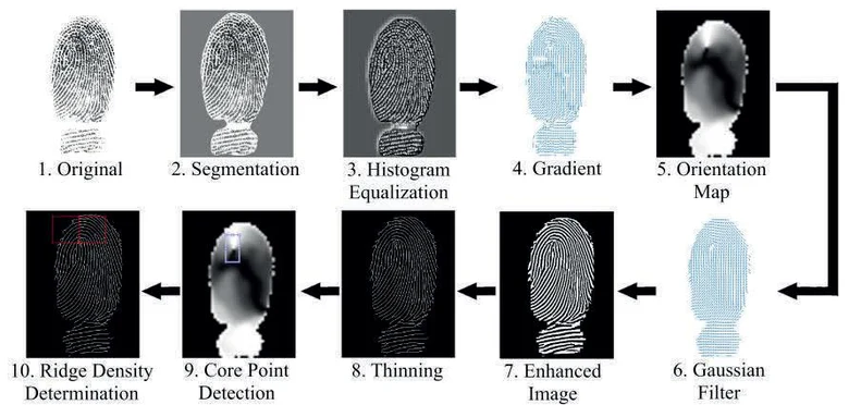 Verschiedene Versionen ines Fingerabdrucks mit den Titeln: 1. Original, 2. Sementation, 3. Histogram Equalization, 4. Gradient, 5. Orientation Map, 6. Gaussian Filter, 7. Enhanced Image, 8. Thinning, 9. Core Point Detection, 10. Ridge Density Determinati